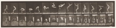 プレート362背面宙返り 作： Eadweard Muybridge