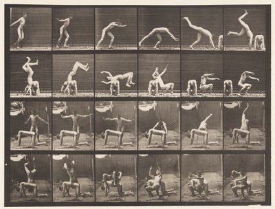 プレート364。男の背中に転回 作： Eadweard Muybridge