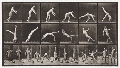 プレート365。ヘッドスプリング、干渉する空飛ぶ鳩 作： Eadweard Muybridge