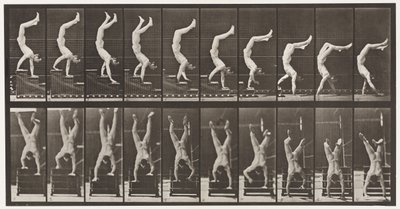 プレート368。Acrobat、手の上の階段を降りる 作： Eadweard Muybridge