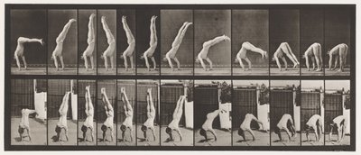 プレート371。Acrobat、垂直腕立て伏せ 作： Eadweard Muybridge