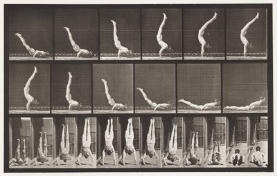プレート372。Acrobat、水平腕立て伏せ 作： Eadweard Muybridge