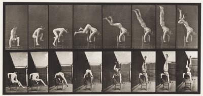 プレート373。アクロバット、椅子から腕立て伏せ 作： Eadweard Muybridge