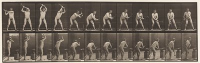 プレート376.鍛冶屋、アンビルに槌で打つ、両手、1872-1885 作： Eadweard Muybridge
