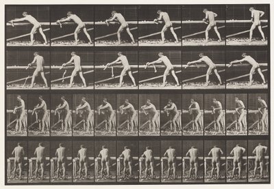プレート379。カーペンター、プレーニングボード、1872〜1885 作： Eadweard Muybridge