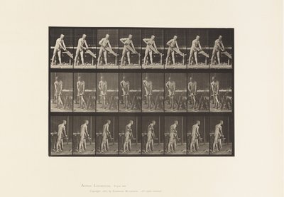 プレート380。カーペンター、ソーイング、1872-1885 作： Eadweard Muybridge