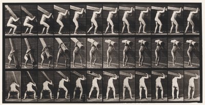 プレート383。肩の上の丸太を持ち上げる 作： Eadweard Muybridge
