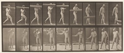 プレート384。肩の上の丸太を持ち上げる 作： Eadweard Muybridge