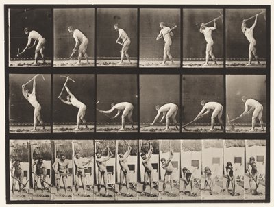 プレート385。農家、ピックの使用、1872〜1885 作： Eadweard Muybridge