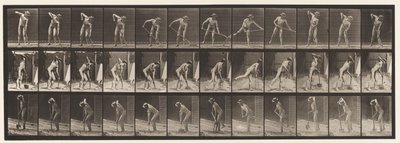 プレート387。農夫、長い柄のシャベルを使用 作： Eadweard Muybridge