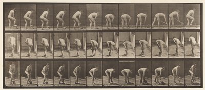 プレート388。農家、スペードを使用、1872〜1885 作： Eadweard Muybridge