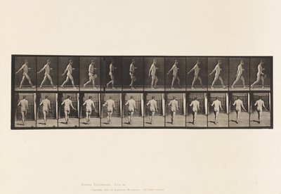 プレート389。ファーマー、散乱種子、1872〜1885 作： Eadweard Muybridge