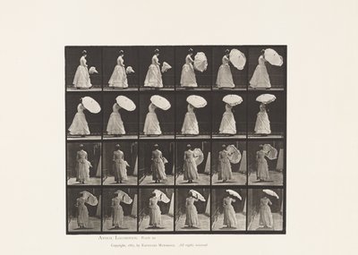 プレート38.ウォーキング、オープニングパラソル、1885 作： Eadweard Muybridge