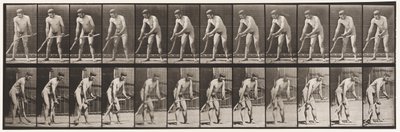 プレート391。農夫、草刈り 作： Eadweard Muybridge