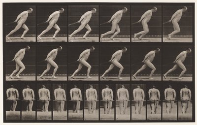 プレート392。ガーデンローラーのドラッグ、1872〜1885 作： Eadweard Muybridge