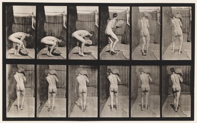 プレート397。吊り上げ75ポンド。肩の上の石、1872-1885 作： Eadweard Muybridge