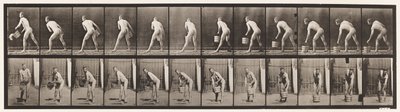 プレート398。バケツの水を持ち上げて空にする、1872〜1885 作： Eadweard Muybridge