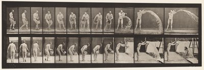 プレート399。バケットの水を空にする、1872〜1885 作： Eadweard Muybridge