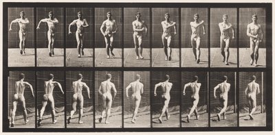 プレート3ウォーキング 作： Eadweard Muybridge