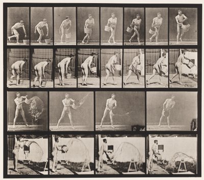 プレート400。水のバケツを空にする、1872〜1885 作： Eadweard Muybridge