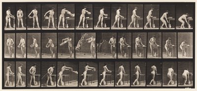 プレート402。水槽を空にする 作： Eadweard Muybridge