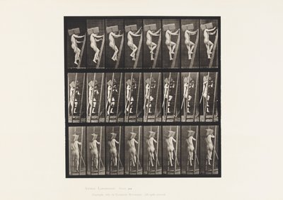 プレート405。「はしごをはしごを運ぶ、1872-1885」 作： Eadweard Muybridge