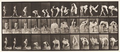 プレート419。トイレ、かがむ、肩の周りにラップを投げる 作： Eadweard Muybridge