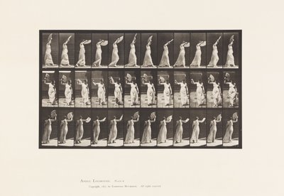 プレート41ウォーキング、ファンとの戯れ 作： Eadweard Muybridge