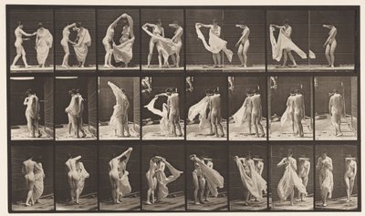 プレート429。トイレ。 2つのモデル、1つの破棄8、1872〜1885 作： Eadweard Muybridge