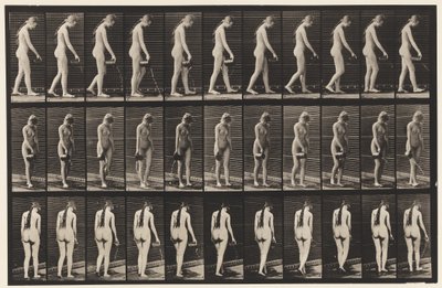 プレート42.ウォーキング、ピッチャーから水を注ぐ 作： Eadweard Muybridge