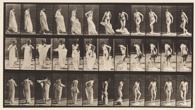 プレート431。トイレ;服を脱ぐ 作： Eadweard Muybridge