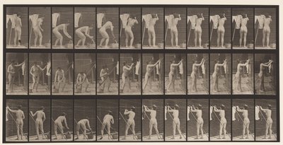 プレート434. 1872年から1885年までの洋服の吊り下げ 作： Eadweard Muybridge