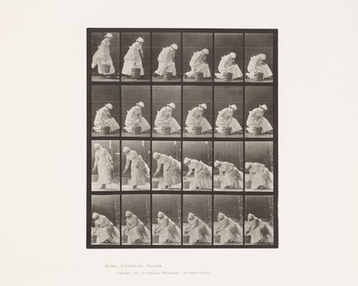 プレート438.バケットの設置とスクラブの準備、1885 作： Eadweard Muybridge