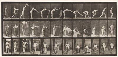 プレート439。床に敷物を広げる、1872〜1885 作： Eadweard Muybridge