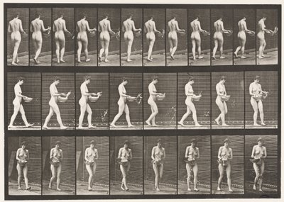 プレート43.歩く、流域から水をまき散らす、向きを変える 作： Eadweard Muybridge