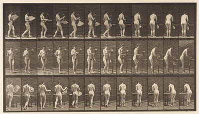 プレート441。キャリーベースとテーブルへの配置、1872〜1885 作： Eadweard Muybridge
