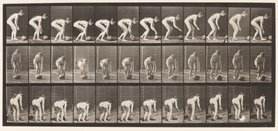 プレート442。身をかがめ、地面に石を転がす 作： Eadweard Muybridge