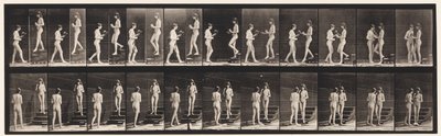 プレート448。2つのモデル 作： Eadweard Muybridge