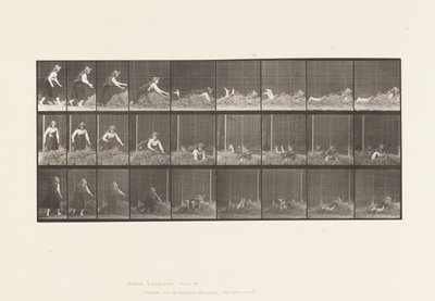 プレート 455干し草の山に身を投げる 作： Eadweard Muybridge