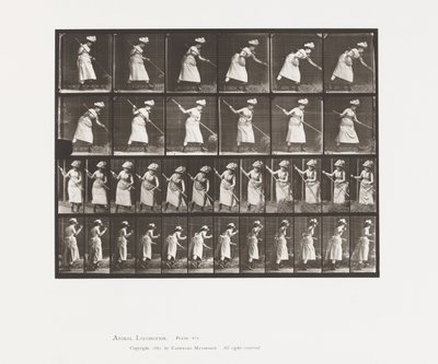 プレート456。RakingHay、1885 作： Eadweard Muybridge