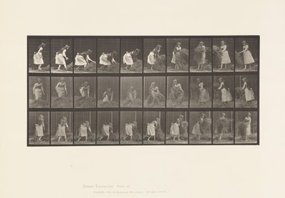 プレート 458手持ちの干し草を持ち上げ、回し、投げ落とす 作： Eadweard Muybridge