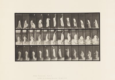 プレート459.椅子を踏み、手を伸ばして下降する、1885 作： Eadweard Muybridge