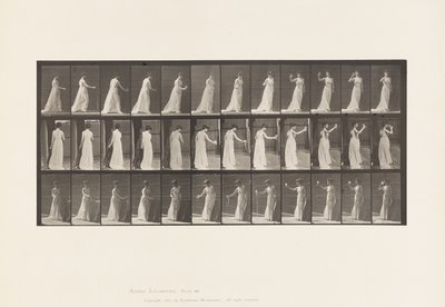 プレート462.地面に解放を注ぐ、ゴブレットから飲む、1885 作： Eadweard Muybridge