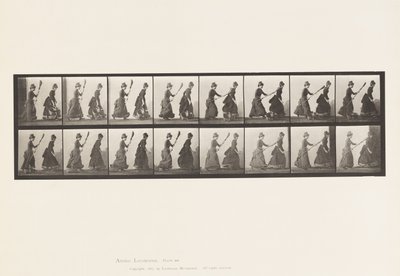 プレート464.2つのモデル、16、ほうきで4を追いかける、1885 作： Eadweard Muybridge