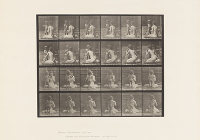 プレート466.2つのモデル、子供70N、花束を12、1885年にもたらす 作： Eadweard Muybridge