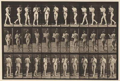 プレート46歩いて、扇風機をなびかせて、振り向く 作： Eadweard Muybridge