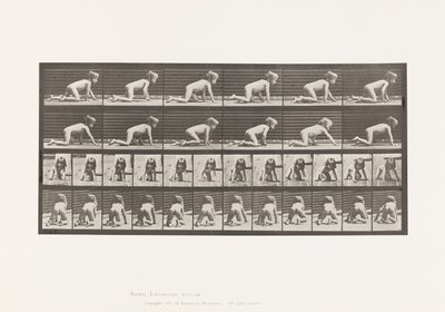 プレート471。子供、手と膝の上でクロール、1885 作： Eadweard Muybridge