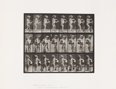 プレート478.子、いくつかの花の上に水をまく、1885 作： Eadweard Muybridge