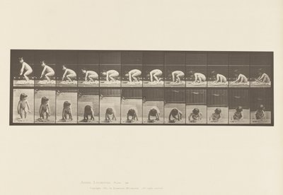 プレート 479子供、地面から立ち上がる 作： Eadweard Muybridge
