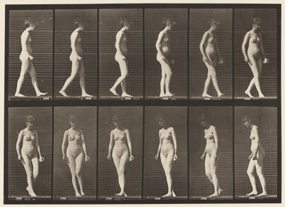プレート47。歩き、向きを変える 作： Eadweard Muybridge
